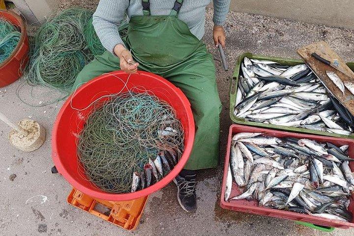 セシンブラにハマる : リスボン近郊の魚オークションツアー