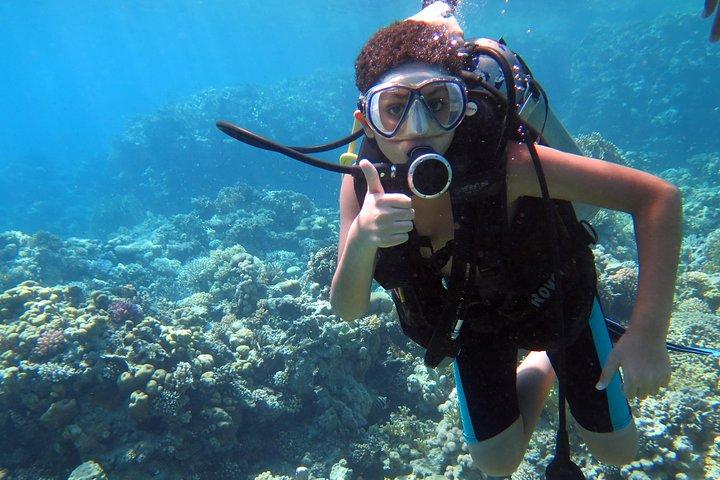 Dyk- och snorklingsbåttur till Ras Mohamed Sharm El Sheikh