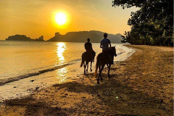 Krabi: Sunset Beachfront Horse Ride with Barbecue Dinner