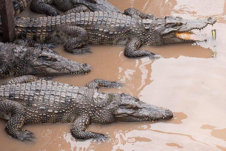 Siem Reap Seeuferdorf-Tour