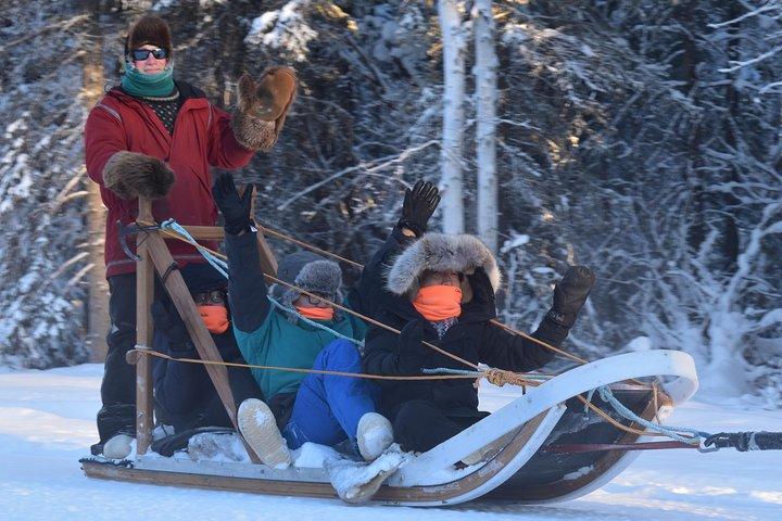 Esperienza di slitte trainate da cani e Mushing al Polo Nord