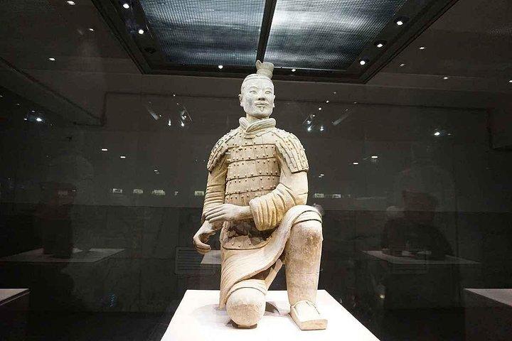 Excursion d'une journée à cheval et guerriers Terra-Cotta au départ de Xi'an
