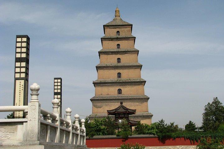 Xi'an Half-Day City Tour - Shaanxi History Museum og Big Wild Goose Pagoda