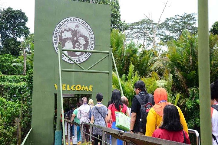 クアラルンプール発オランウータン島とペラトン洞窟寺院日帰りツアー