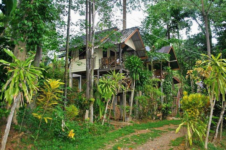 2-tägige Khao Sok Safari durch den Dschungel ab Krabi