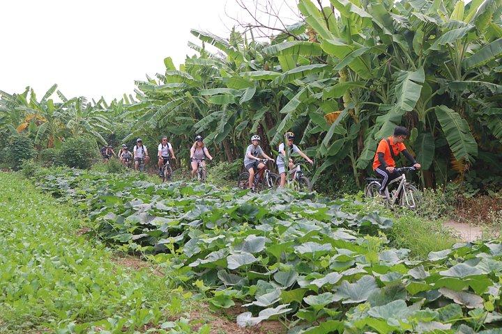 レッドリバー島の裏道、田舎の田舎エリア、トレインストリート