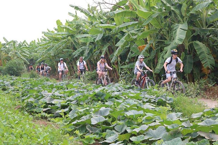 レッドリバー島の裏道、田舎の田舎エリア、トレインストリート
