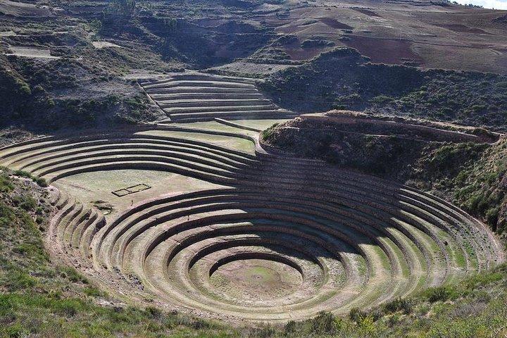 Maras Moray