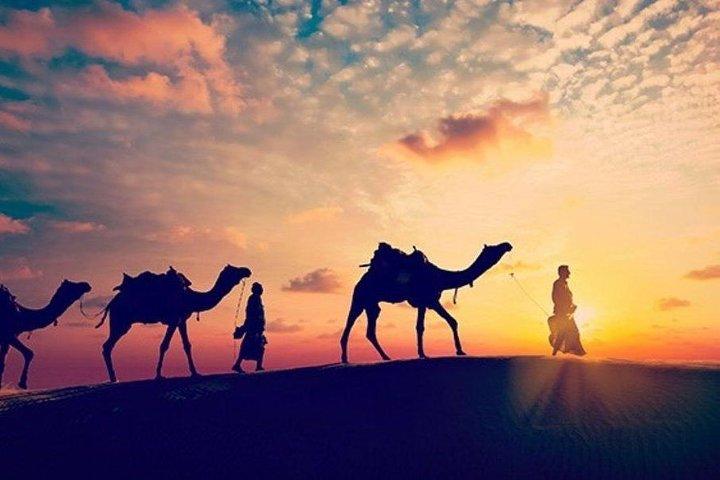 Sunset Desert Safari Trip Per Quad vanuit Marsa Alam