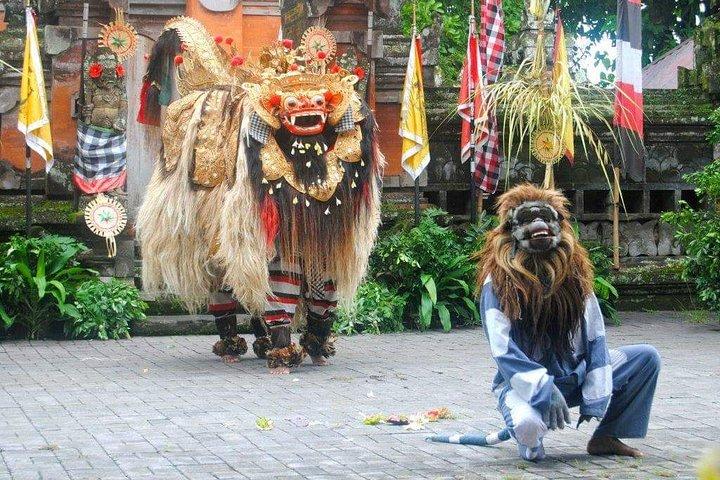 Villaggio di Ubud, cultura e cascate nascoste