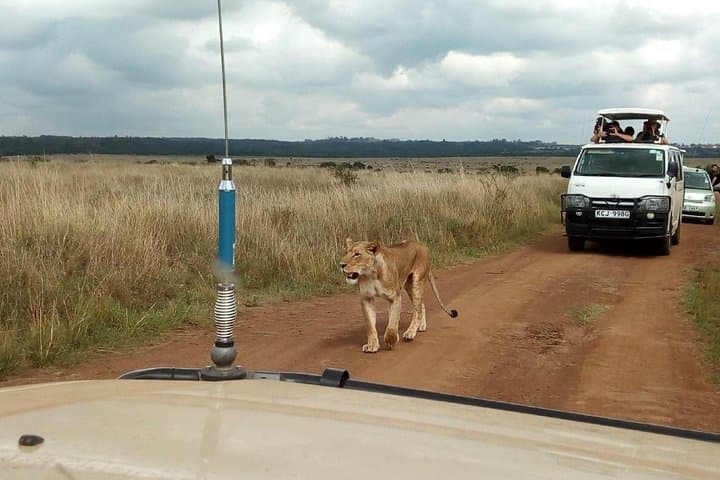 2 Days Amboseli National park safari package