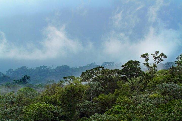 Corcovado National Park Eintägige Tour