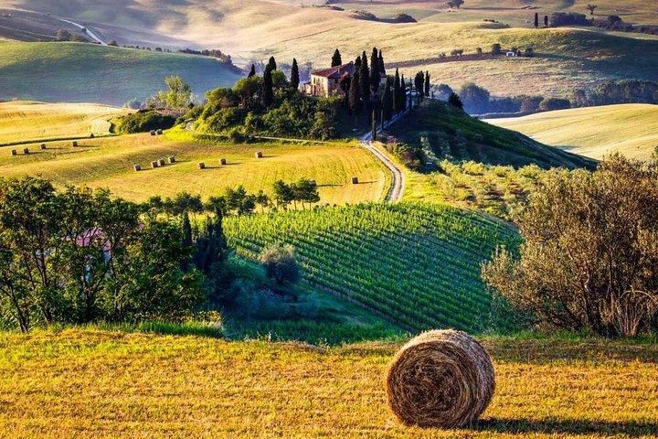 Trasferimento e tour privato da Roma a Firenze