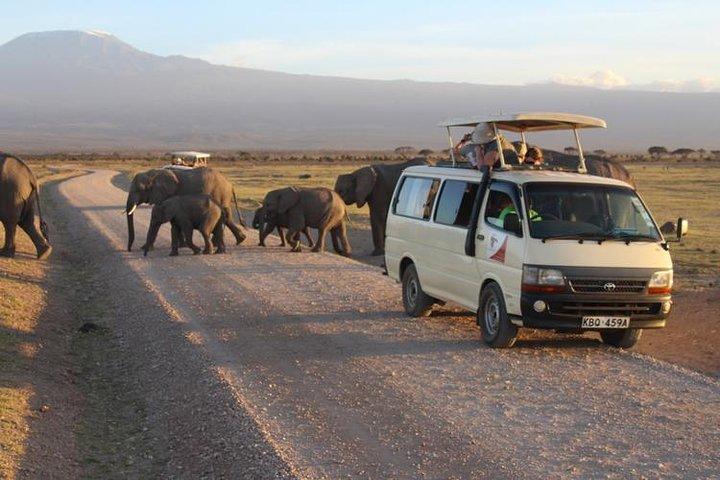 Meilleur safari animalier de 5 jours: Safari privé dans le parc national d'Amboseli et de Tsavo Ouest