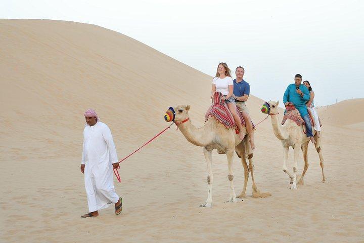 Abu Dhabi Half Day Desert Safari
