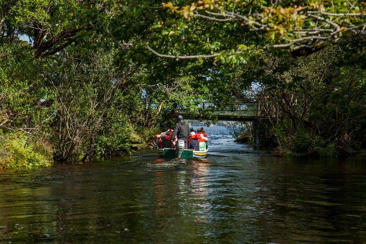 Gap of Dunloe Tour (bateau et bus)