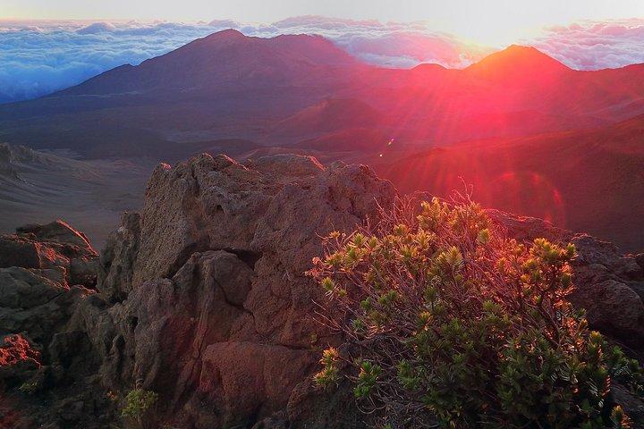 Haleakala Sunrise Tour com café da manhã e West Side Pickup
