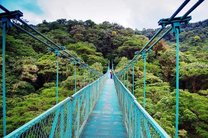 Gita di un giorno a Monteverde con ponti sospesi da San Jose