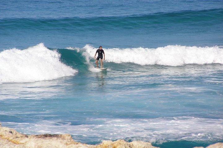 ブリスベン発ストラドブローク島4WD日帰り旅行