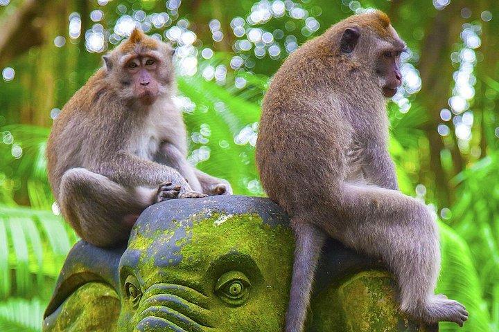 Bali Private Chartered Tour