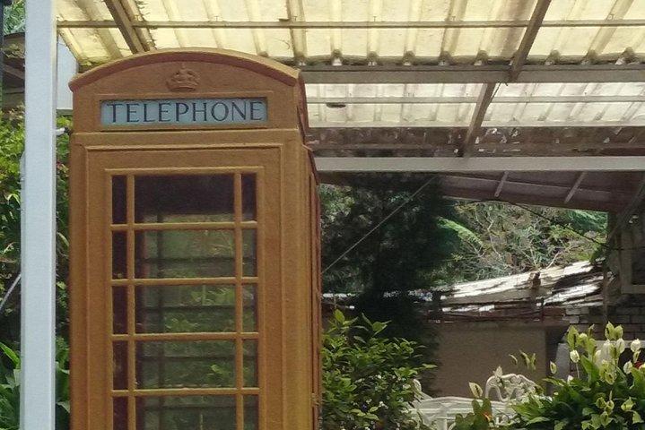 Cameron Highlands: Tour della foresta di Mossy