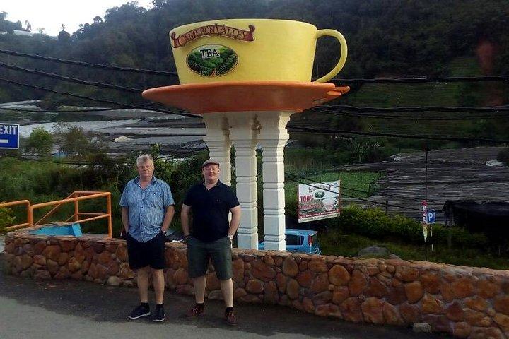 Cameron Highlands: Tour della foresta di Mossy