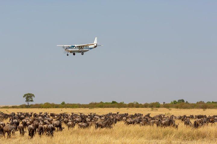 Unirse al grupo de 5 días: Mara, Nakuru y Naivasha