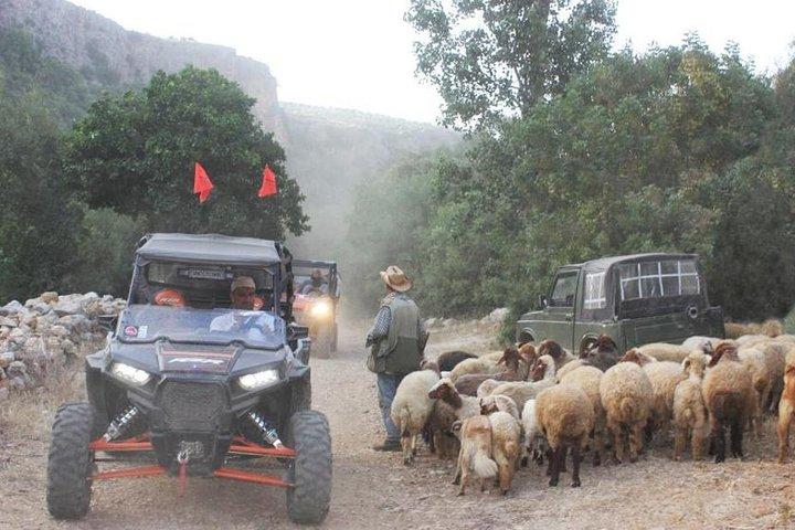 RZR S（2シートバギー）半日オフロードツアー＆シーニックアドベンチャー