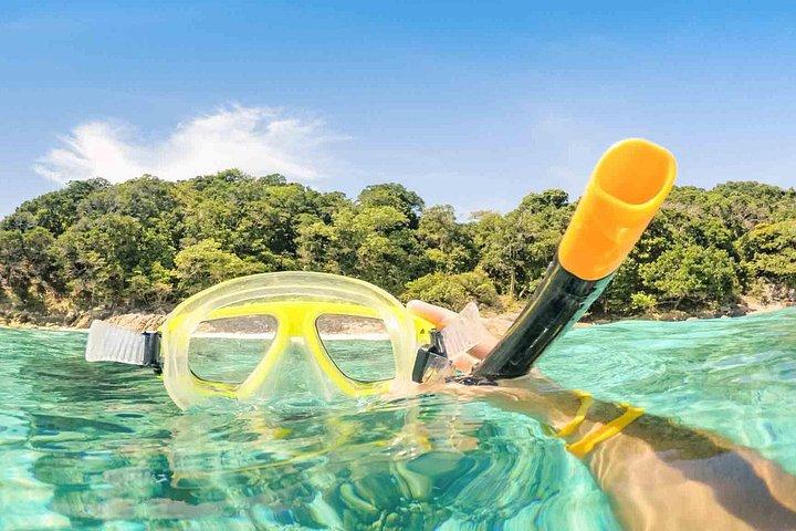 Explore Phi Phi Islands by Ferry – Snorkeling & Lunch Included