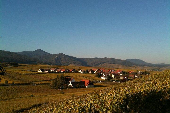 Excursion privée : le meilleur de l'Alsace en une journée !
