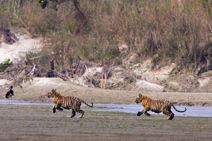 Nepal Classic Tour - 12 Tage