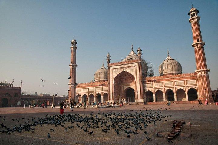 Delhi heldags sightseeingtur