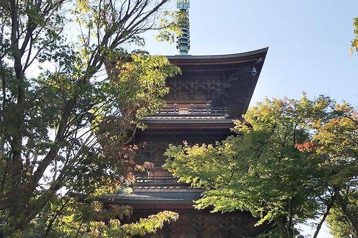 Private Tour - Thousands of lucky cats! Go by tram, Gotokuji Tour