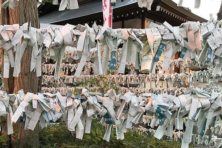 プライベートツアー - 何千匹もの招き猫！路面電車で行く豪徳寺ツアー