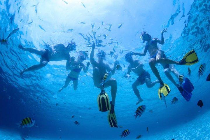 マウイ島：カアナパリビーチから2時間半のXpressシュノーケル