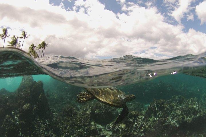 モロキニ・クレーター＋マウイ島キヘイからの南マウイ海岸アドベンチャー
