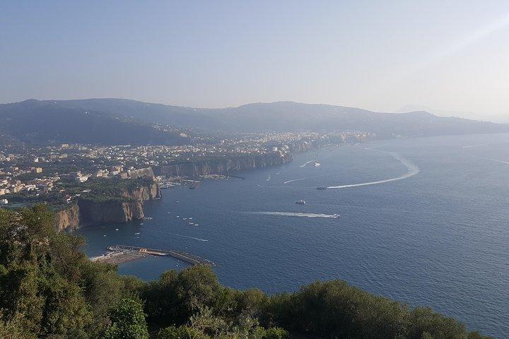 Excursão de dia inteiro a Pompeia com guia, Sorrento, Positano de Napoli/Salerno/Amalfi