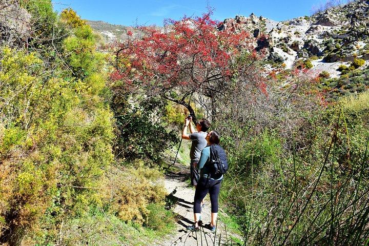シエラネバダ山脈でのハイキング：峡谷、洞窟、吊り橋