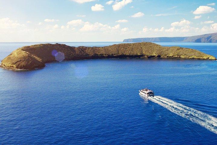 マウイ島：モロキニ島とタートルタウンのシュノーケリング（プライド・オブ・マウイ）