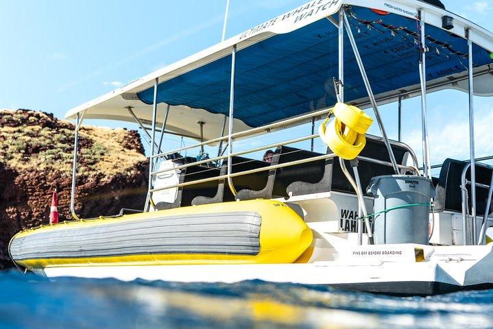 Lanai Deluxe Dolphin Adventure og 3 snorkelsteder