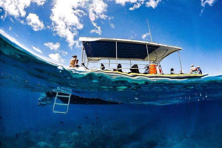 Lanai Deluxe Dolphin Adventure og 3 snorkelsteder