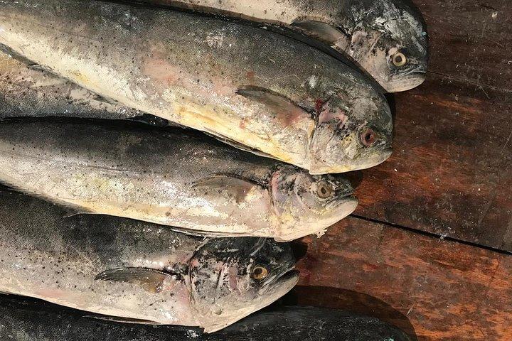 グアヤキルの生涯と美食