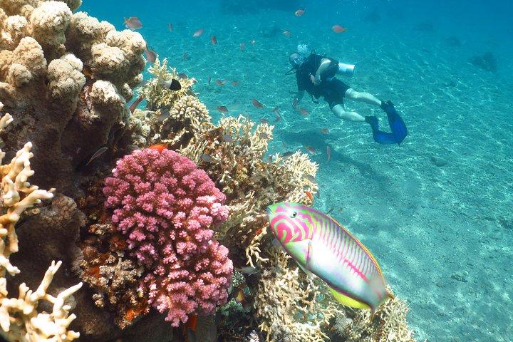 PADI Discover Scuba Diving Course