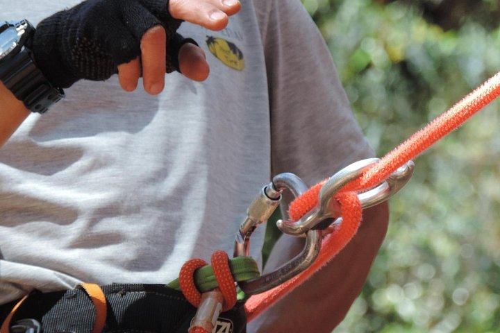 Full-Day Canyoning Tour with Datanla Falls Rappelling