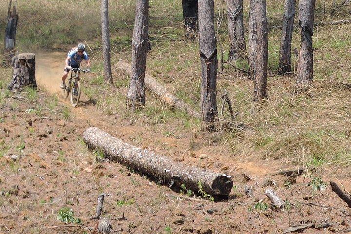 Crazy 8 Mountain Bike Tour from Dalat