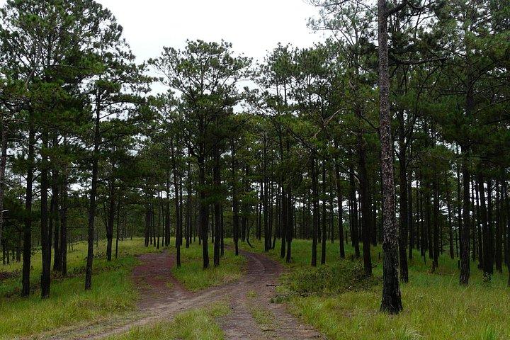 Crazy 8 Mountain Bike Tour from Dalat