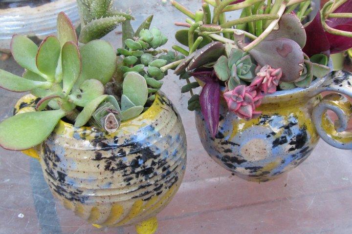 2- Hour Pottery Workshop and Studio Tour in Ojai