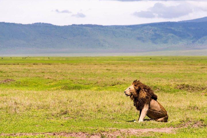 Excursion d'une journée au parc national d'Amboseli