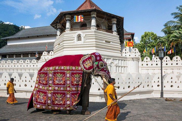 Kandy Nuwara Eliya＆Horton平野からニゴンボまで2日間ツアー