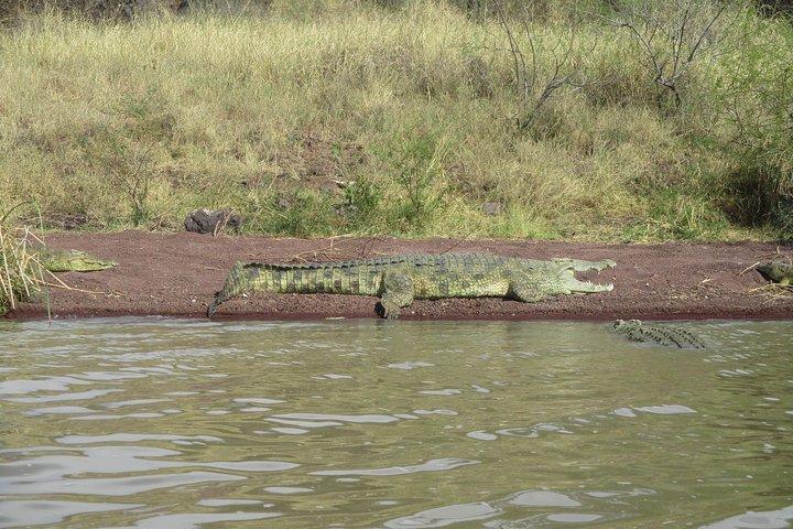 2 dages naturtur fra Addis Abeba til Awash National Park